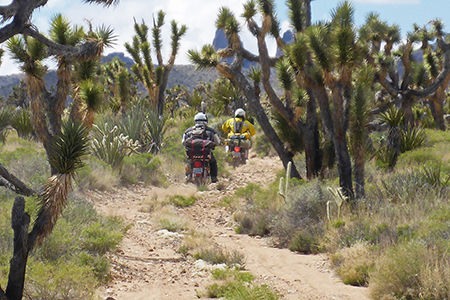 Slow Ride Into The Mojave Preserve