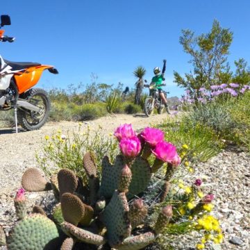 Celebrating Earth Day on 2 Wheels