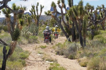Slow Ride Into The Mojave Preserve