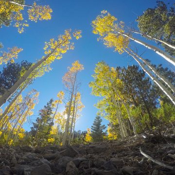 Making the Most of a Boring Trail