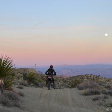 Singletrack, a Cabin and Christmas Tree Pass