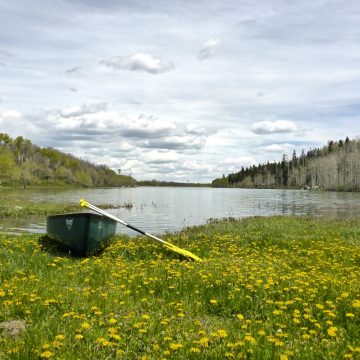 Relaxing at Kolob Reservoir, Utah