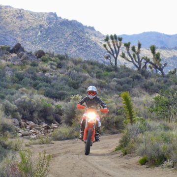 Solitude in the Mojave Preserve: Camping & Ride Report